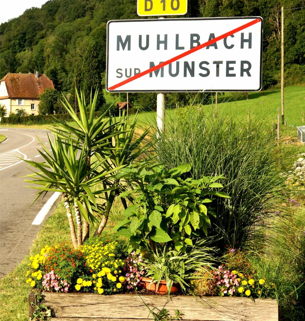Sign showing the town exit for Muhlbach am Münster, with a red diagonal line across the name, beside a flower-filled wooden planter.