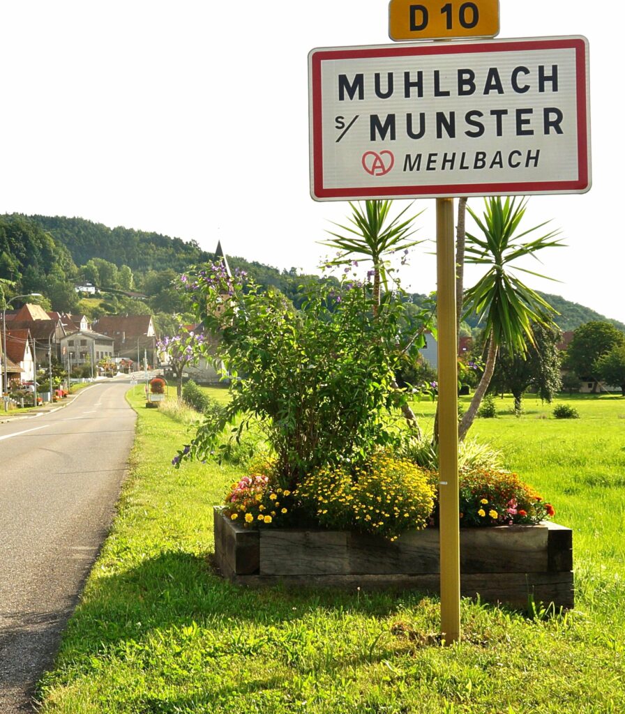 Roadside scene with a large rectangular sign reading MUHLBACH MUNSTER, mounted on a yellow post, and a planter filled with yellow flowers in the foreground; a residential street and green hills in the background.