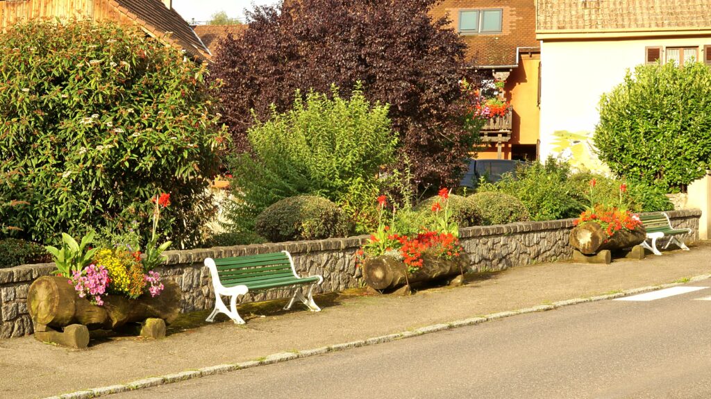 Sunlit urban sidewalk with a low stone planter filled with colorful flowers and green benches along a row of shrubs and houses in the background