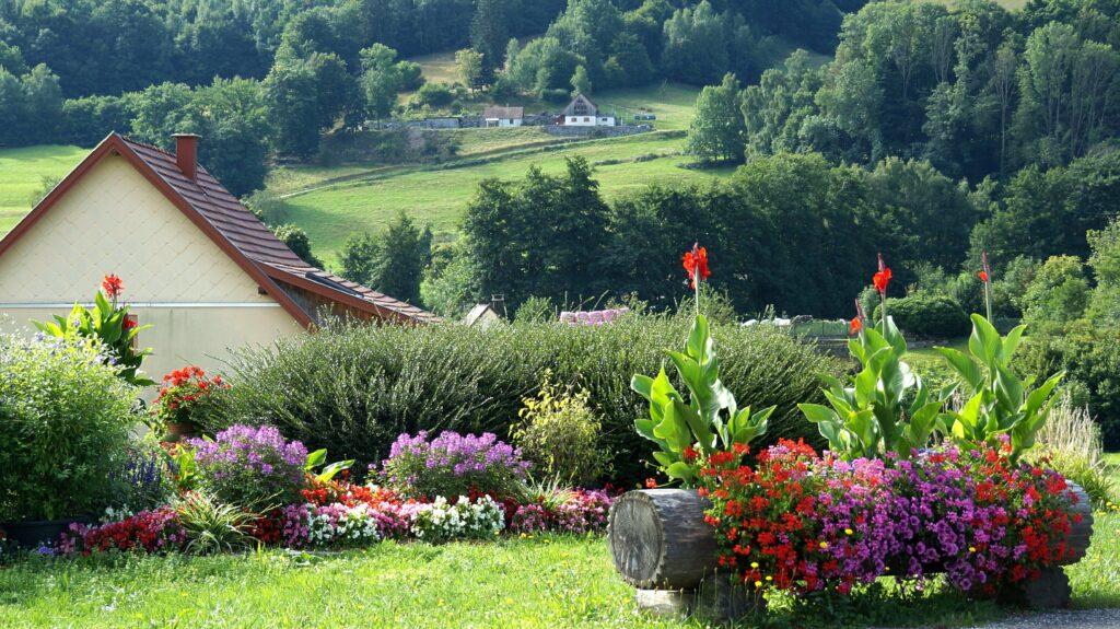 Colorful flower garden in the foreground with a sloped-roof house on the left and green hills in the background.