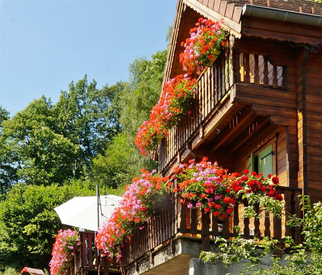 Wooden balcony of a house with red and pink flowers spilling over the railing against a blue sky.