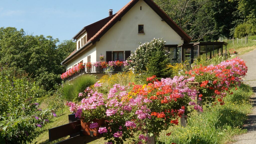 White house with a red-tiled roof sits on a hillside, framed by a vibrant flower garden in bloom.