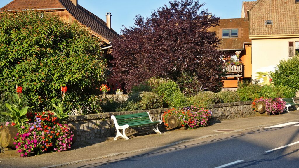 Sunny street scene with green and burgundy trees, colorful flower beds in planters along a low stone wall, and two green benches by the curb.