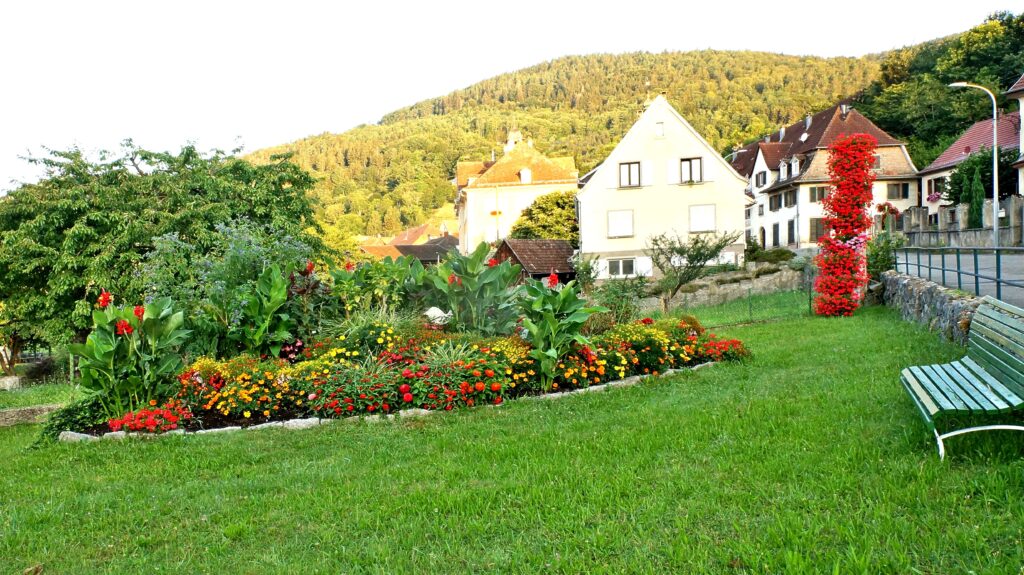 Colorful flower garden in the foreground with a row of houses and a tree-covered hill in the background.
