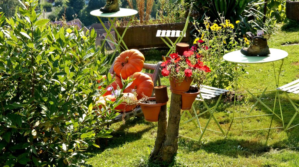Sunlit backyard garden with orange pumpkins on a wooden cart and white round tables, surrounded by potted flowers and lush greenery.