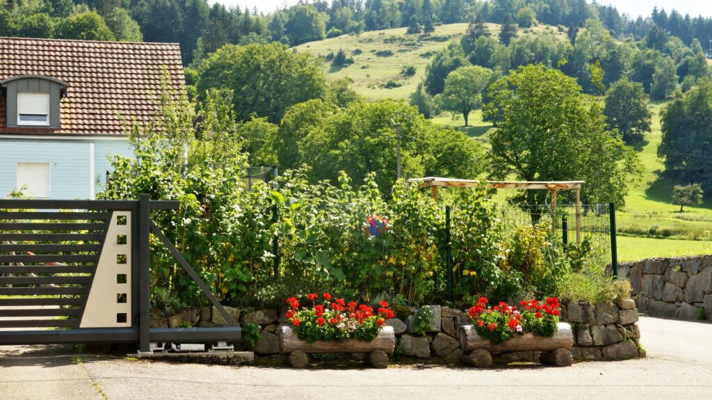 Front yard garden with red flowers in wooden planters, a black gate, and a light-blue house on the left; green hills in the background.