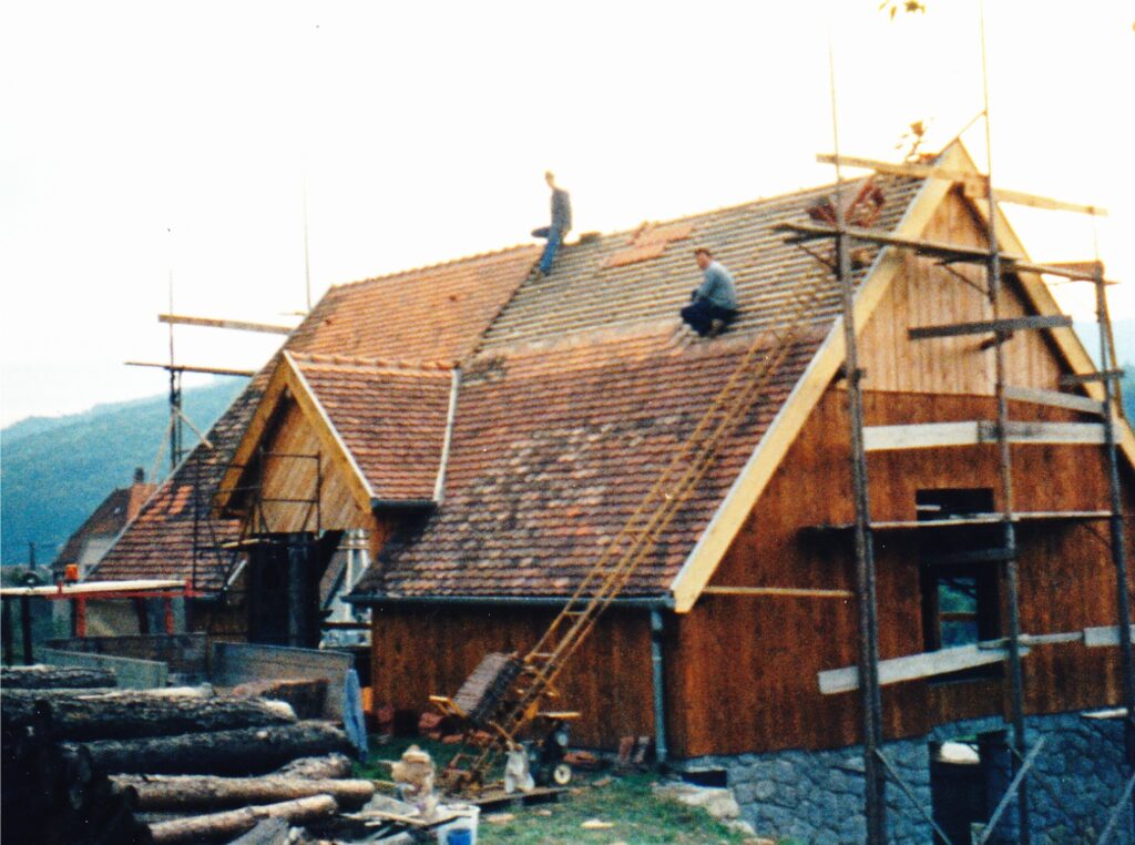 Two workers on a sloped roof under construction, scaffolding surrounding a wooden house in a rural setting.