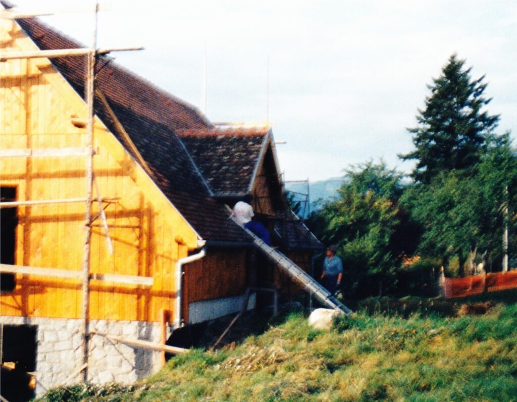 Wood-framed house under construction with scaffolding on the left; two workers on the sloped roof and another man nearby in a grassy, rural setting.
