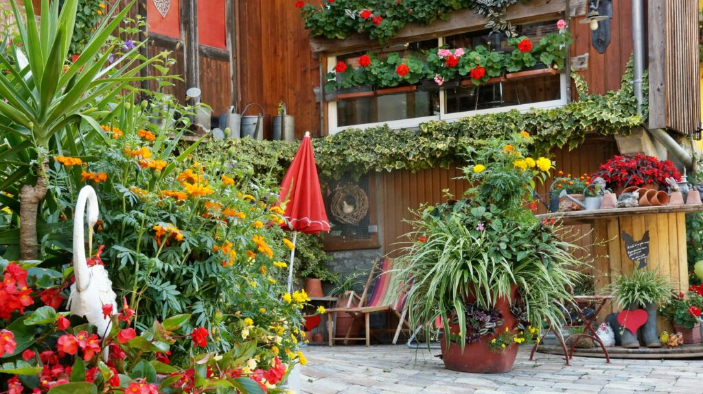 Colorful garden patio in front of a wooden house, with orange, red, and yellow flowers, ivy, and a red patio umbrella
